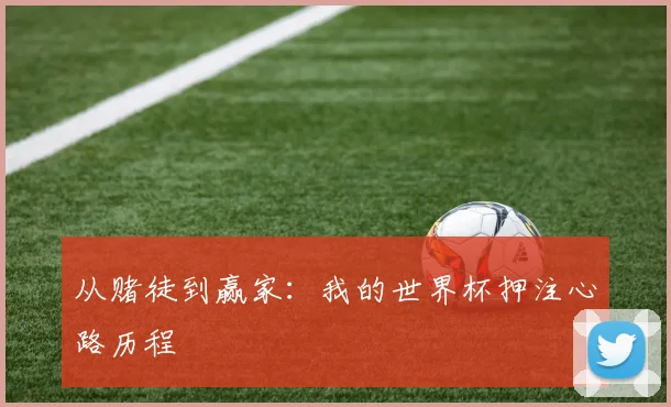 从赌徒到赢家：我的世界杯押注心路历程