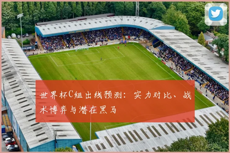 世界杯C组出线预测:实力对比、战术博弈与潜在黑马