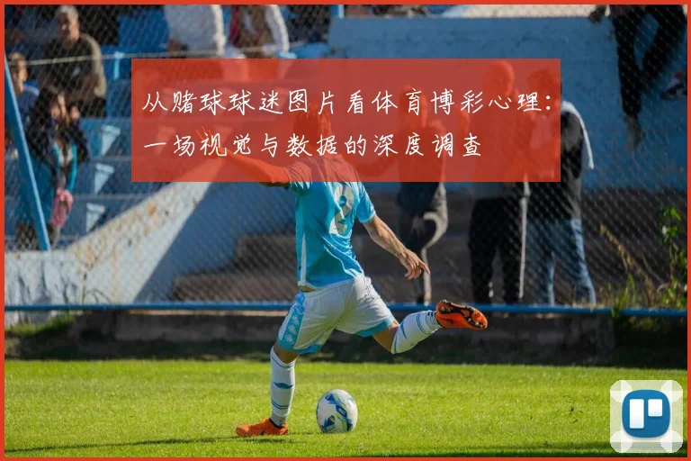 从赌球球迷图片看体育博彩心理：一场视觉与数据的深度调查