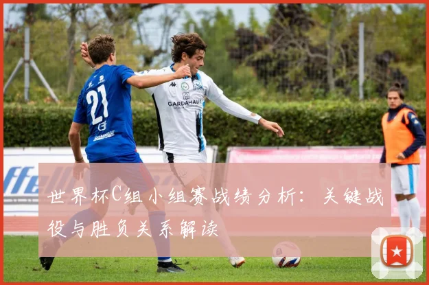世界杯C组小组赛战绩分析:关键战役与胜负关系解读