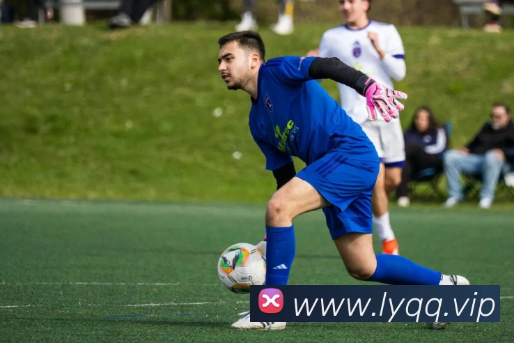 米兰体育官网登陆平台生态图